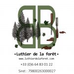 logo luthier scarab